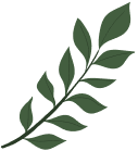 Herb image right